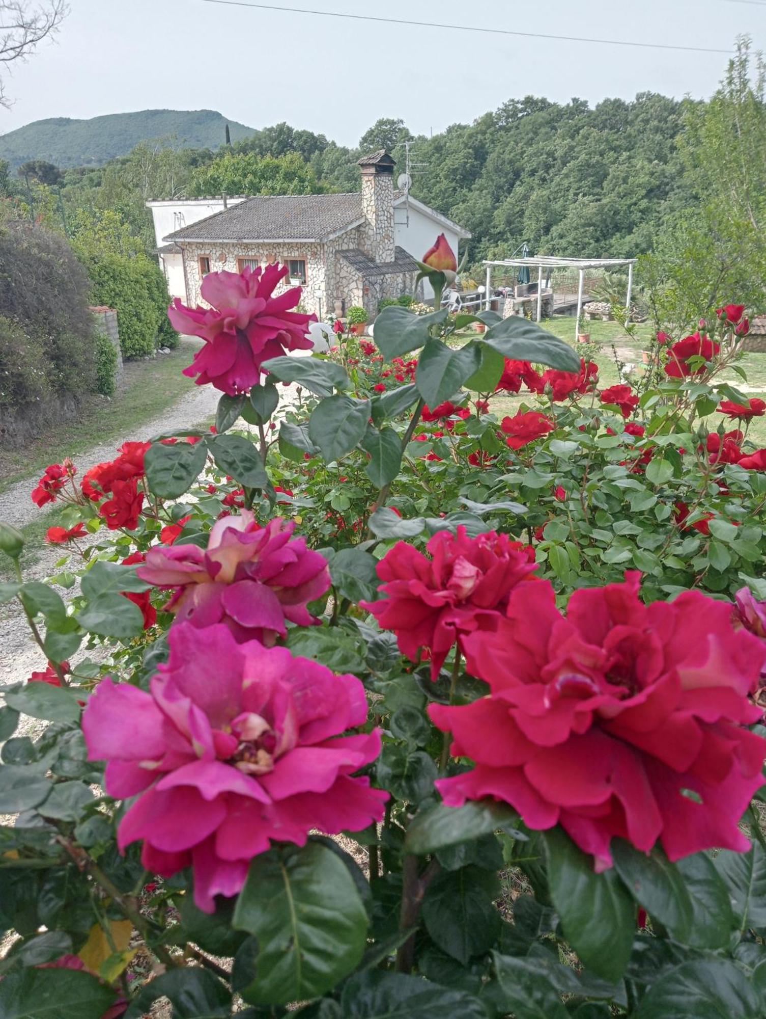 Alloggio Turistico Viterbo Luaran gambar